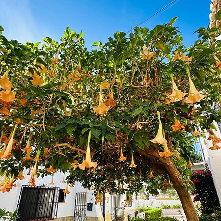 Right By The Pool Area In Capistrano Village! 内尔哈 外观 照片
